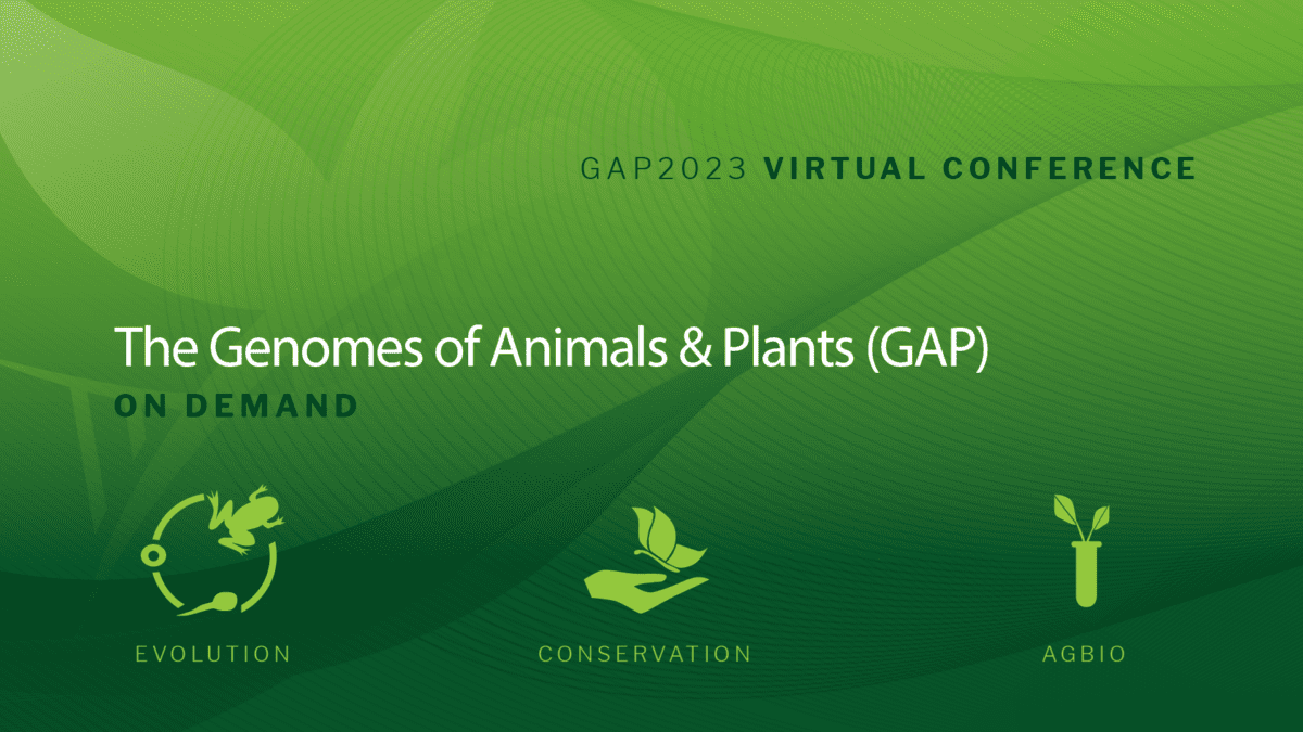 Gap Videos Dovetail Genomics