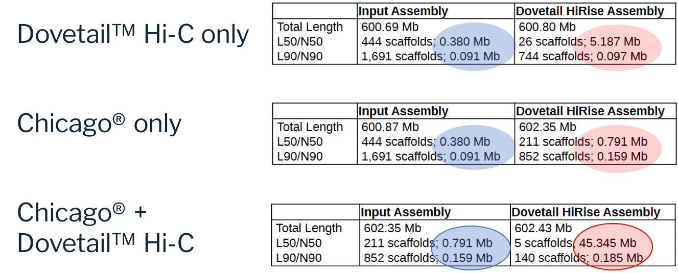 Dtgaap_stats2 Dtgaap_stats2