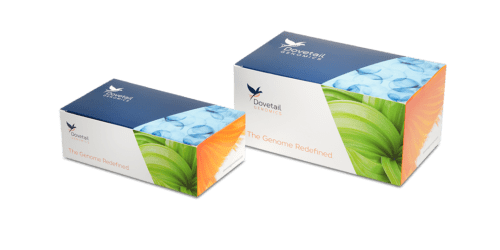 Dovetail® Mouse Pan Promoter Enrichment Kit, 4 Rxn