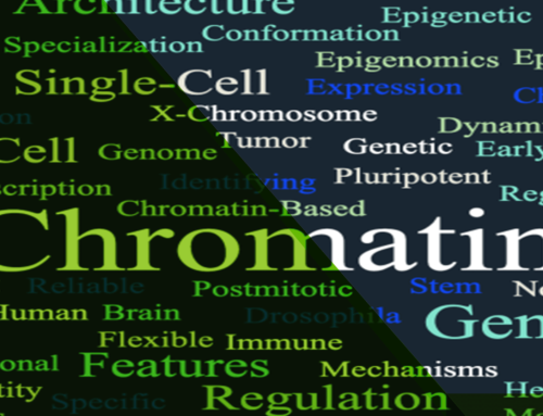 Demystifying Hi-C Data Normalization: A Guide for Genomic Researchers