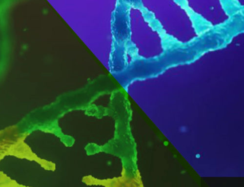 Enrich Your Understanding of Gene Expression with Promoter Capture Hi-C