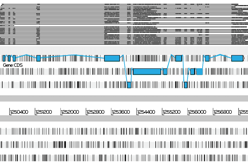 Genome_Assembly_service