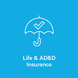 Life Insurance