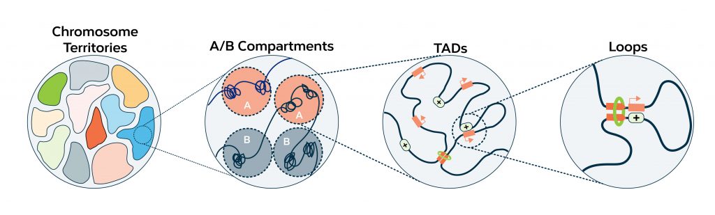 Topological-Features_2-1024×309
