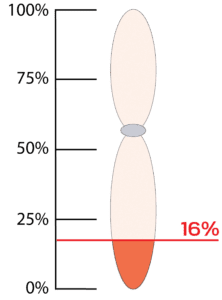 laura_thermometer_16%