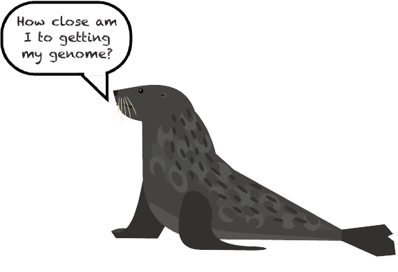 fur_seal_cartoon