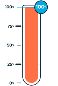 Project_Tracker_100