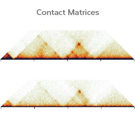 Richer Contact Matrices with TopoLink