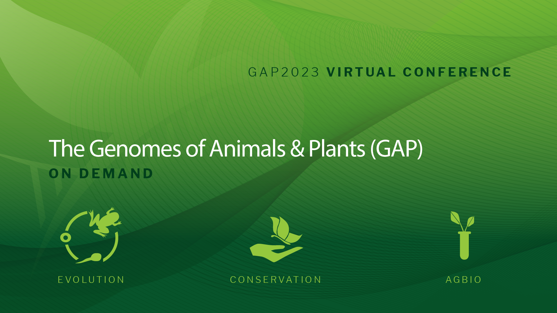 GAP23_Banner_OnDemand